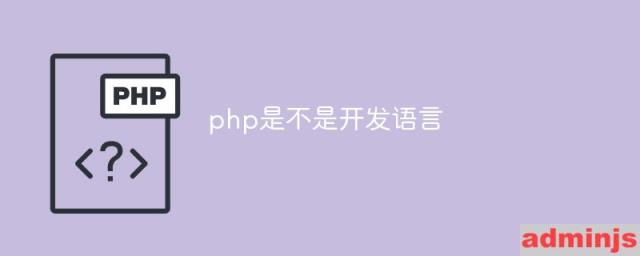 php是不是开发语言的过程(php是开发语言吗)
