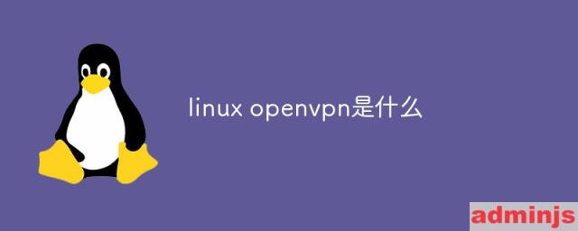 linux openvpn是什么