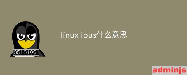 linux ibus什么意思
