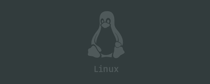 linux的环境变量(Linux的环境变量是什么意思)