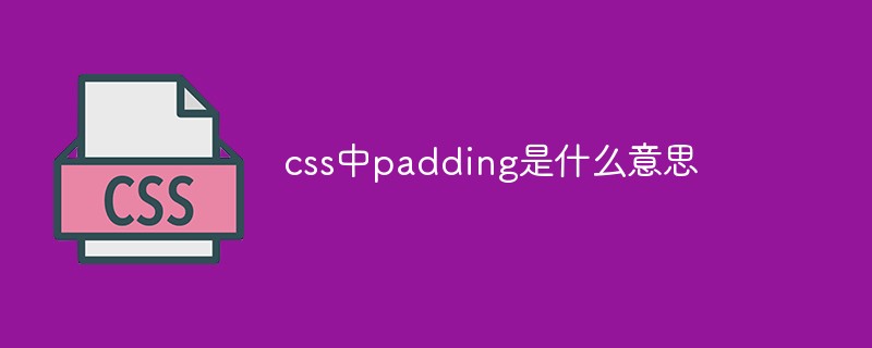 css中padding代表什么意思