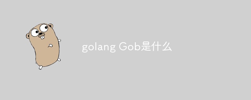 golang Gob是什么