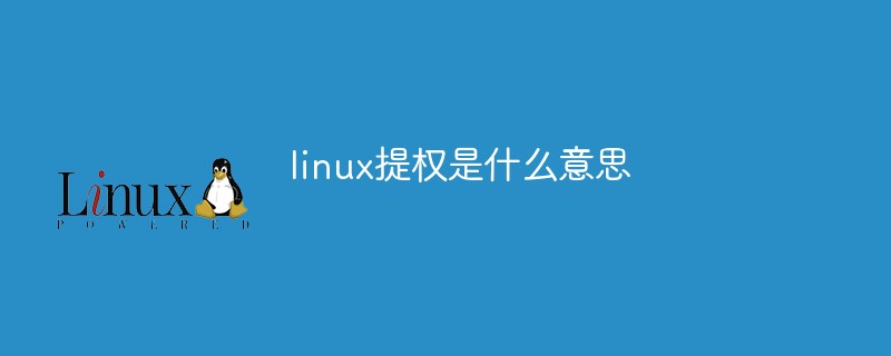 linux提权总结(linux提权命令)