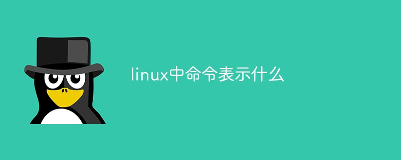 linux中的命令及含义(linux命令及其作用)