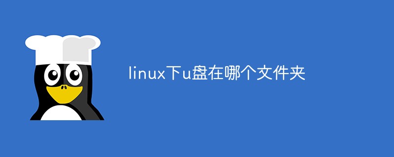 linux u盘在哪
