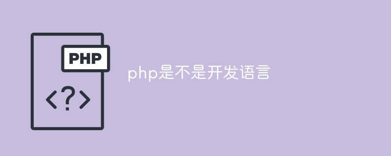 php是不是开发语言的过程(php是开发语言吗)